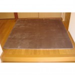 4976486011051_マイクロミンク_185x185_BR